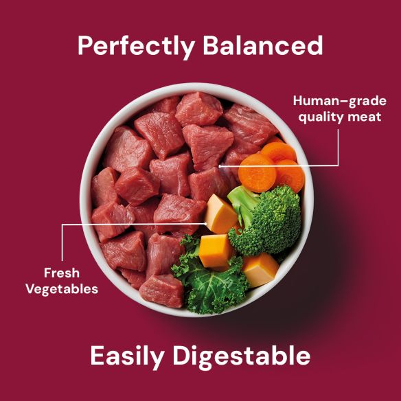 Nutriment Raw Complete Adult Boneless Beef with Beef Tripe (500g) - Image 2