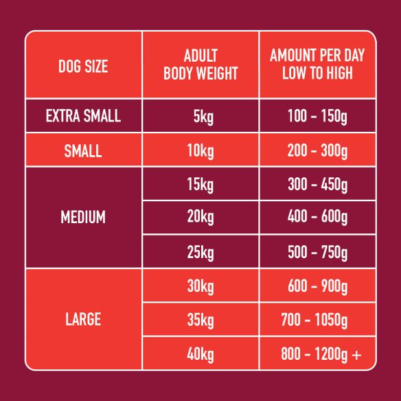 Nutriment Raw Complete Adult Boneless Beef with Beef Tripe (500g) - Image 3