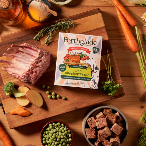 Forthglade British Classics Lamb Shepherds Pie Natural Wet Dog Food (395g)